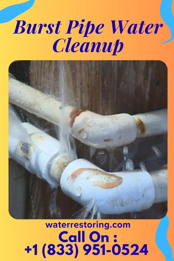 Burst Pipe Water Cleanup in Haliimaile, HI