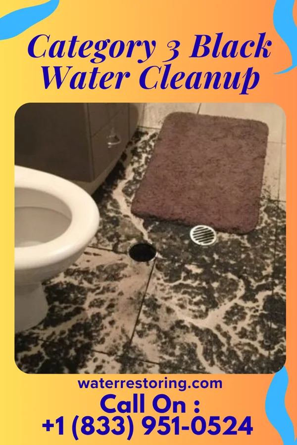 Category 3 Black Water Cleanup in Haliimaile, HI