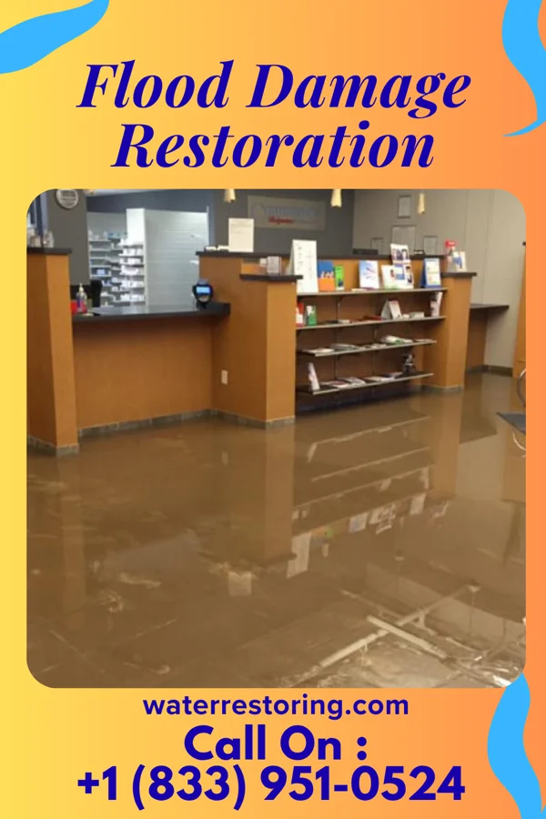 Flood Damage Restoration in Haliimaile, HI