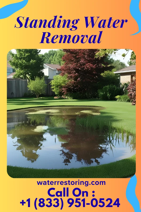 Standing Water Removal in Haliimaile, HI